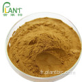 Homme de santé Homme Naturel Améliorant 5: 1 10: 1 20: 1 Poudre d&#39;extrait de maca